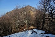 35 Dal Roccolo del Forcolino vista sul sentiero per il Suchello